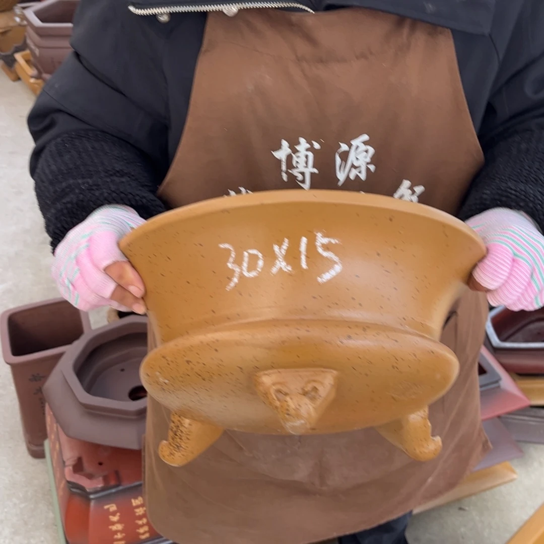 紫砂花盆盆景艺术