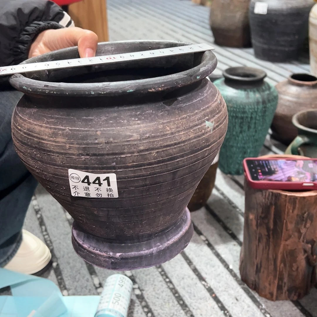 红陶瑕疵紫色鱼尾441