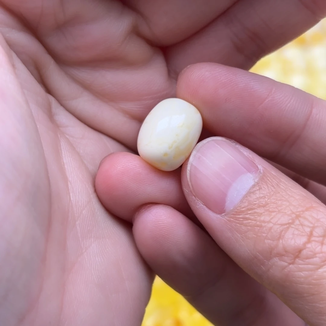 琥珀未镶嵌裸石09