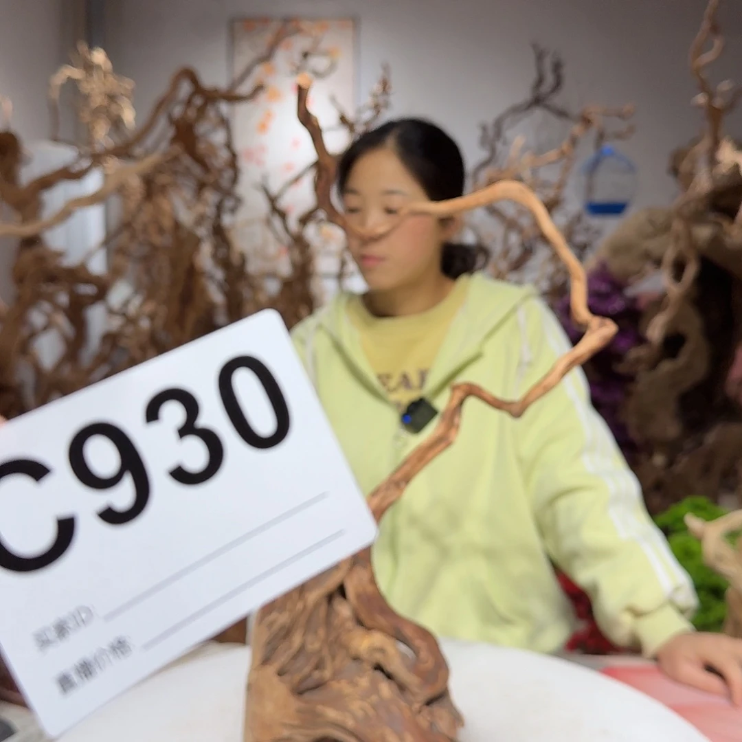 风车木（黑檀木）春**开