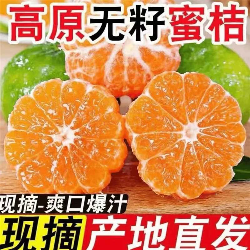 现摘宜昌蜜橘青皮蜜桔薄皮多汁无籽酸甜爽口应季新鲜水果整箱包邮