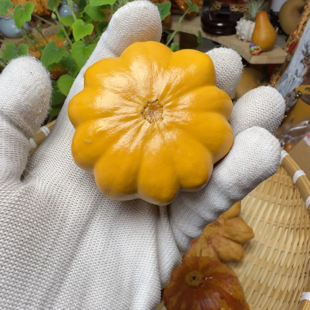 小*菜特价葫芦不退不换