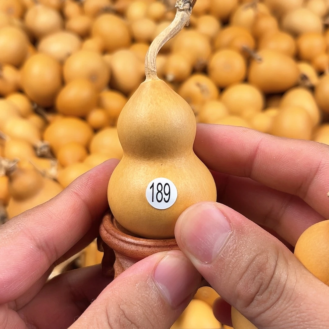 四葫芦葫芦葫芦葫芦189