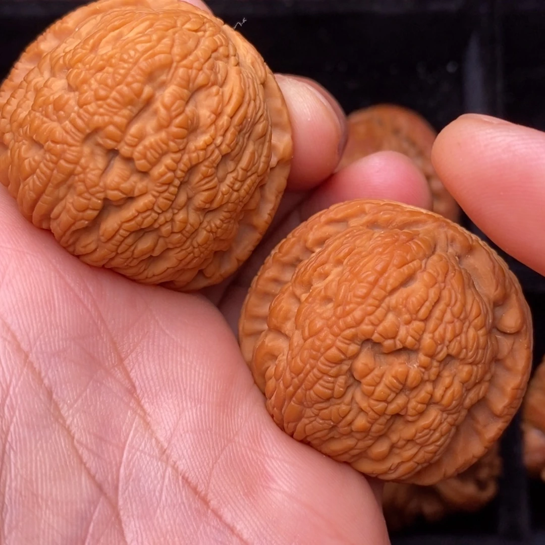 把件文玩核桃秦岭野生植物资源