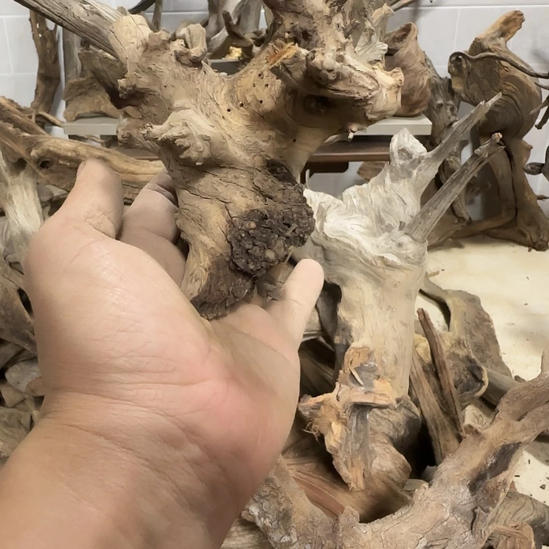 有***友木双色坨坨疙瘩差头