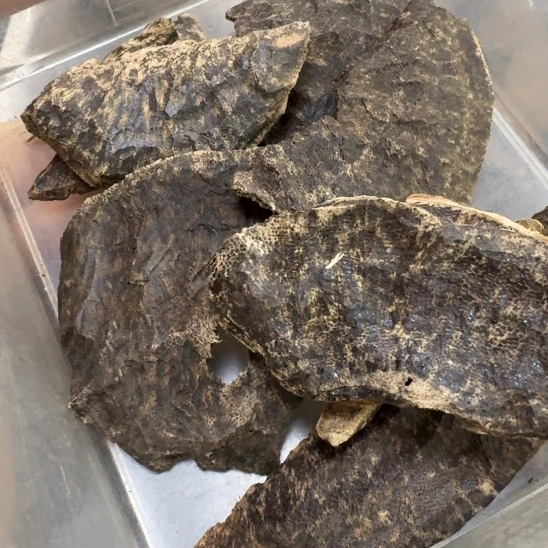 9***-沉香沉香碎屑海南沉香包头30.5克