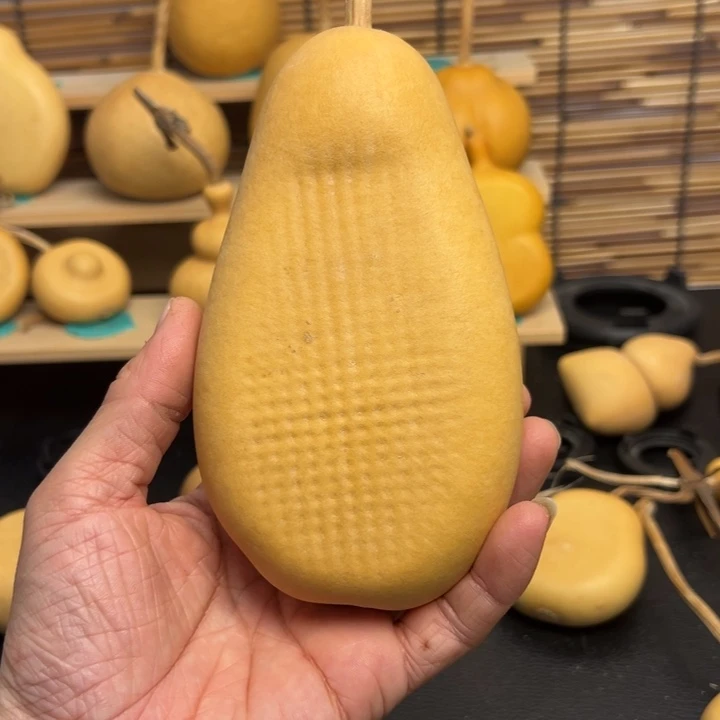 ?**N5555555555855555558