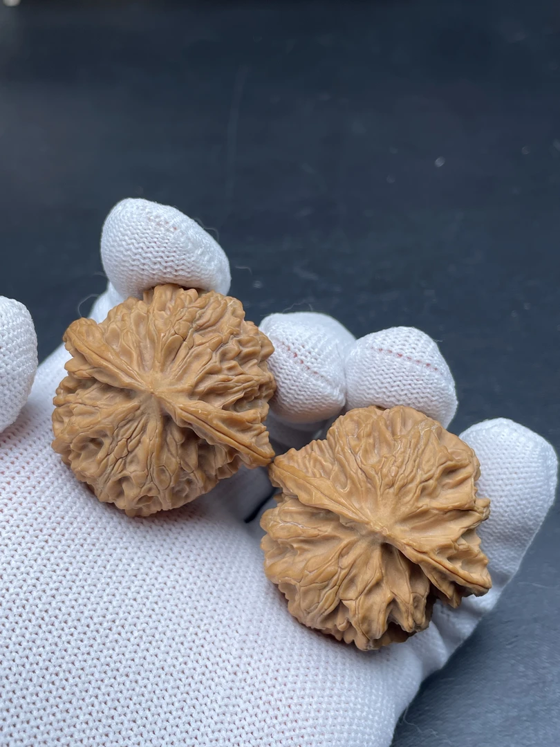 A11全品苹果园狮子头37mm