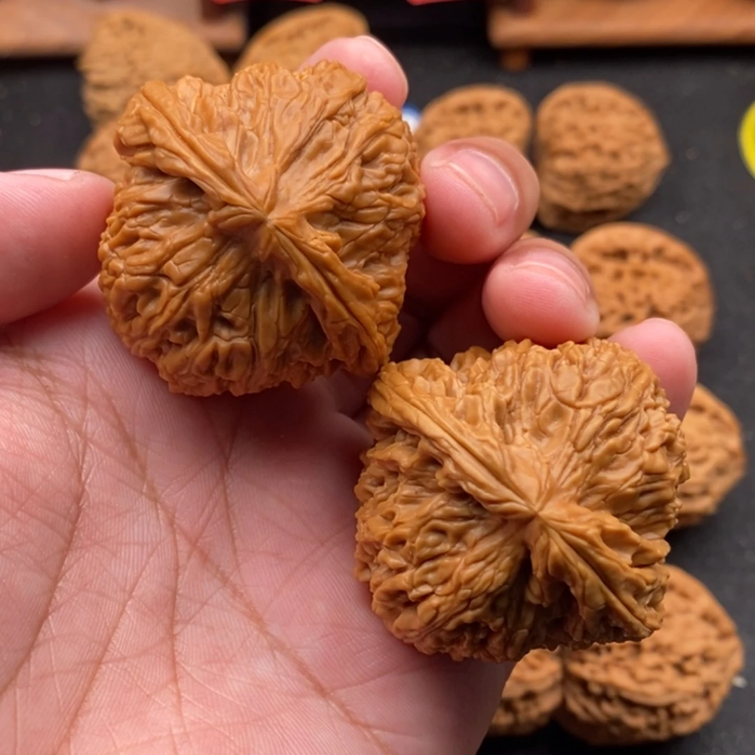 文玩核桃把件故****校好好