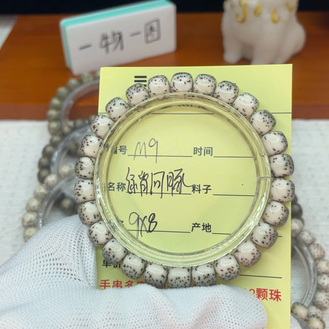 菩提籽类M绿背河豚