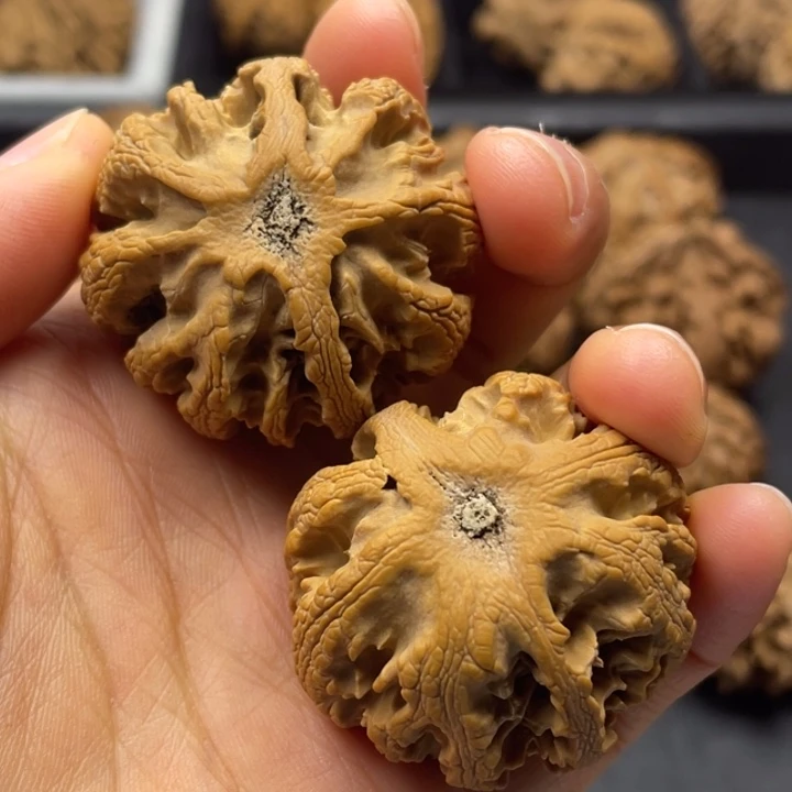 吊坠文玩核桃突突突突突突突