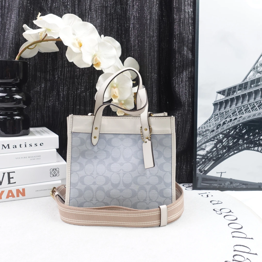 95新 COACH/蔻驰 单肩包/T10171831