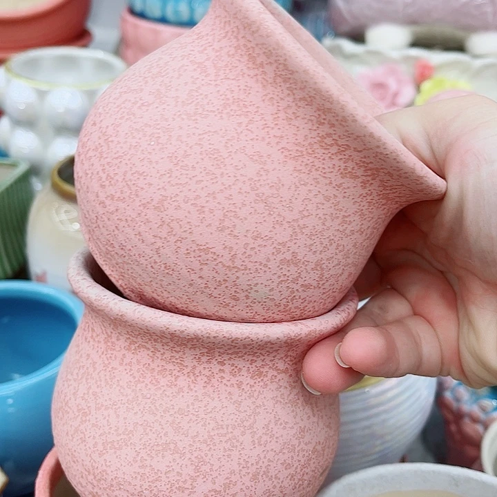 多肉植物陶瓷花盆