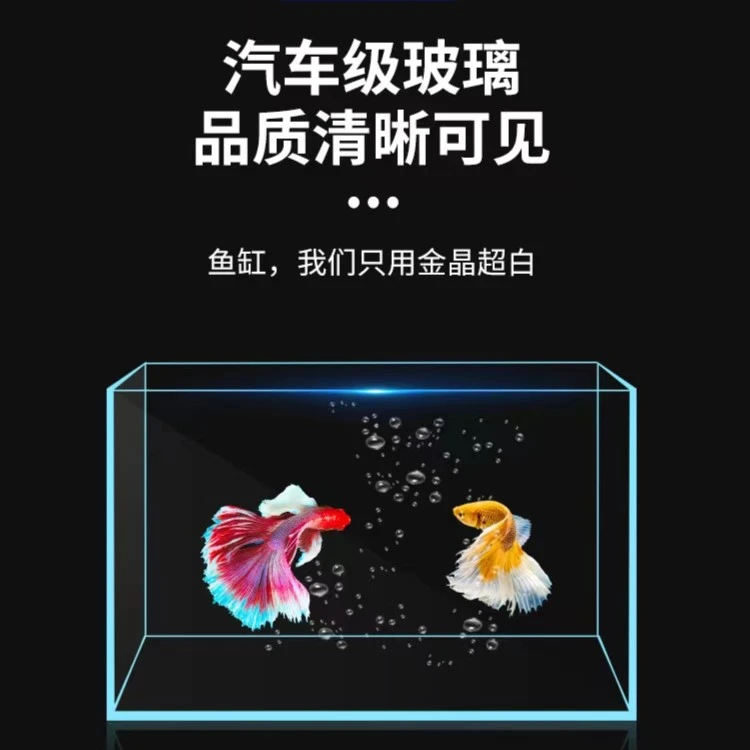 40方超白裸缸 可养龟可养鱼