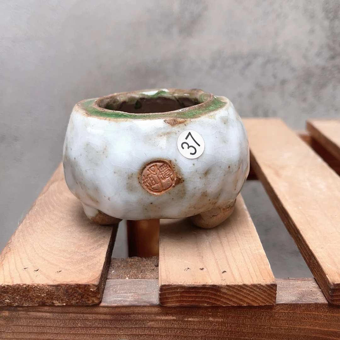 红陶内口4外高4厘米