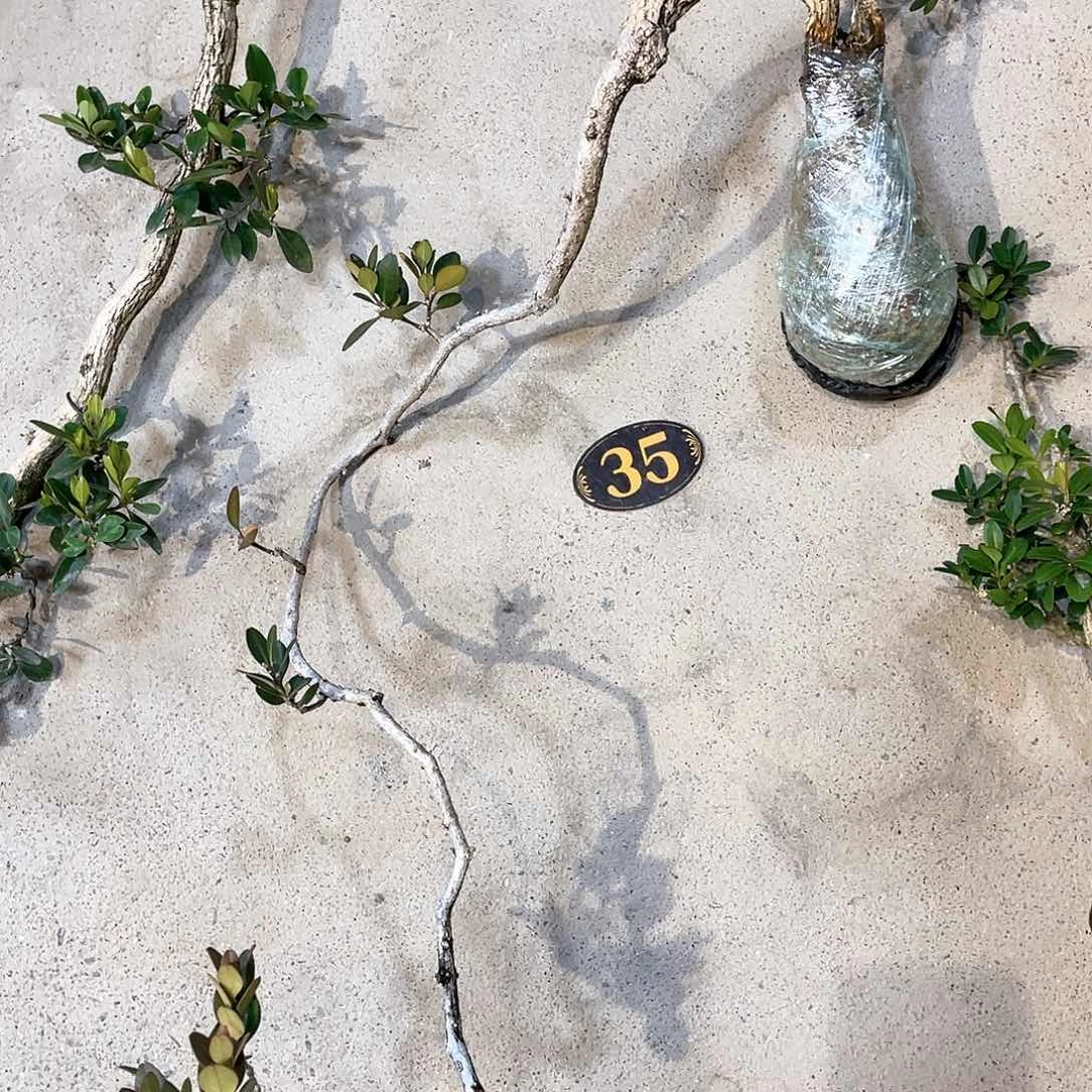 红陶厚**物一起为梦想而加油啊我