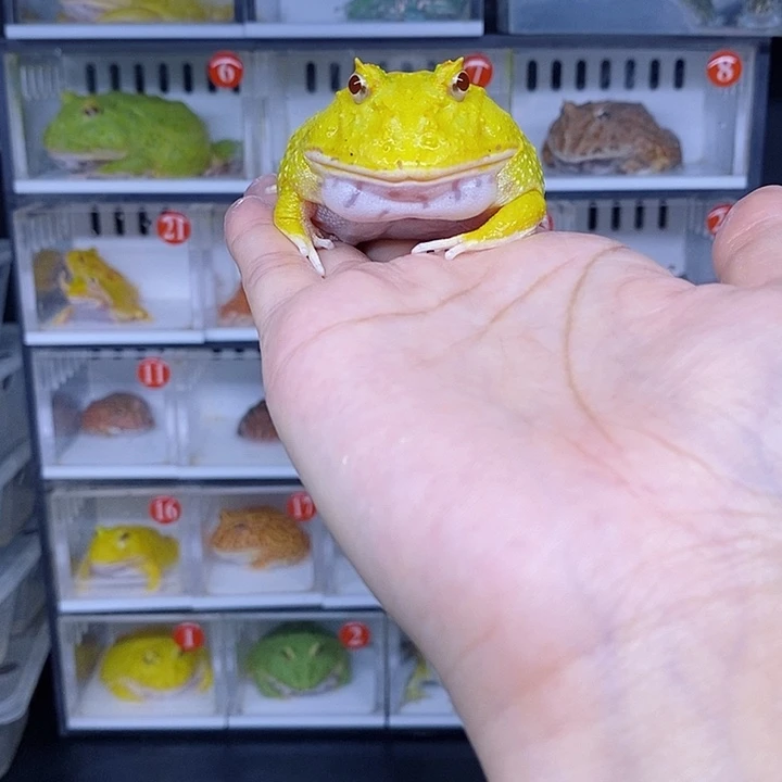特价秒杀特价原价