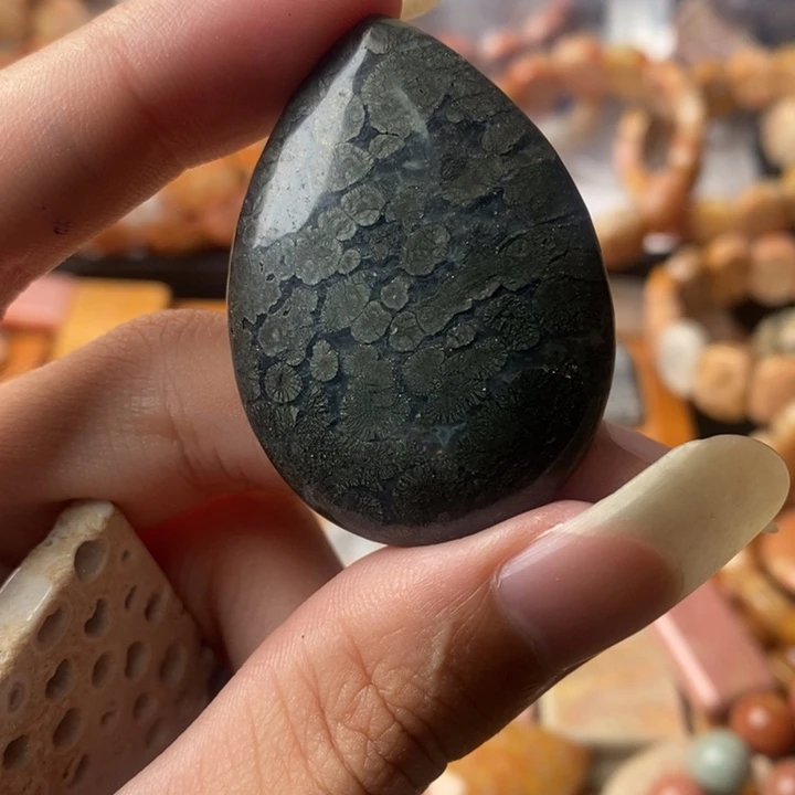 终***凯颈饰未镶嵌硅化珊瑚（珊瑚玉）