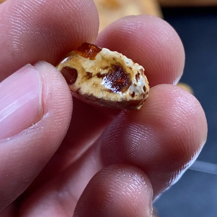 未镶嵌定制琥珀陈**成