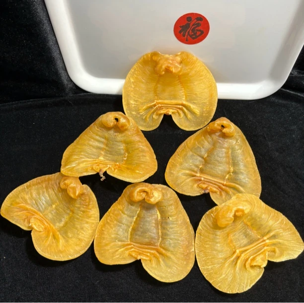 正南湛江赤嘴公胶约5.5头厚肉老胶孕妇月子滋补海产干货花胶
