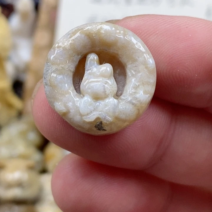 颈饰未镶嵌硅化珊瑚（珊瑚玉）有瑕 小