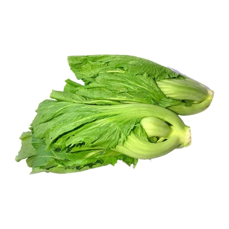 水东芥菜约450g~500g/份芥菜