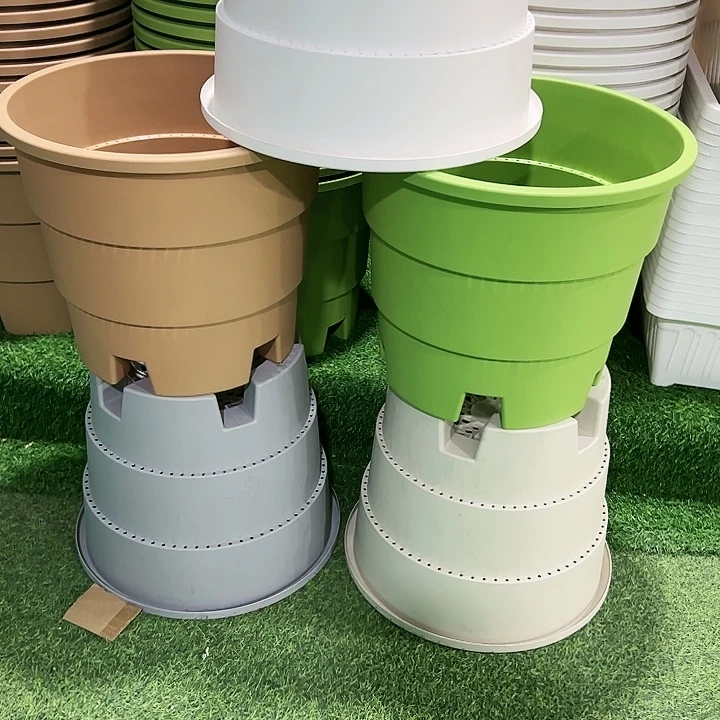 正品蓝莓盆口39高33白色3个无托