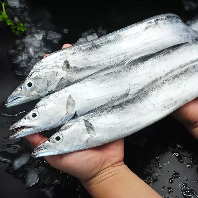新鲜纯正野生舟山雷达网油带 肉质细嫩油脂丰厚 顺丰包邮