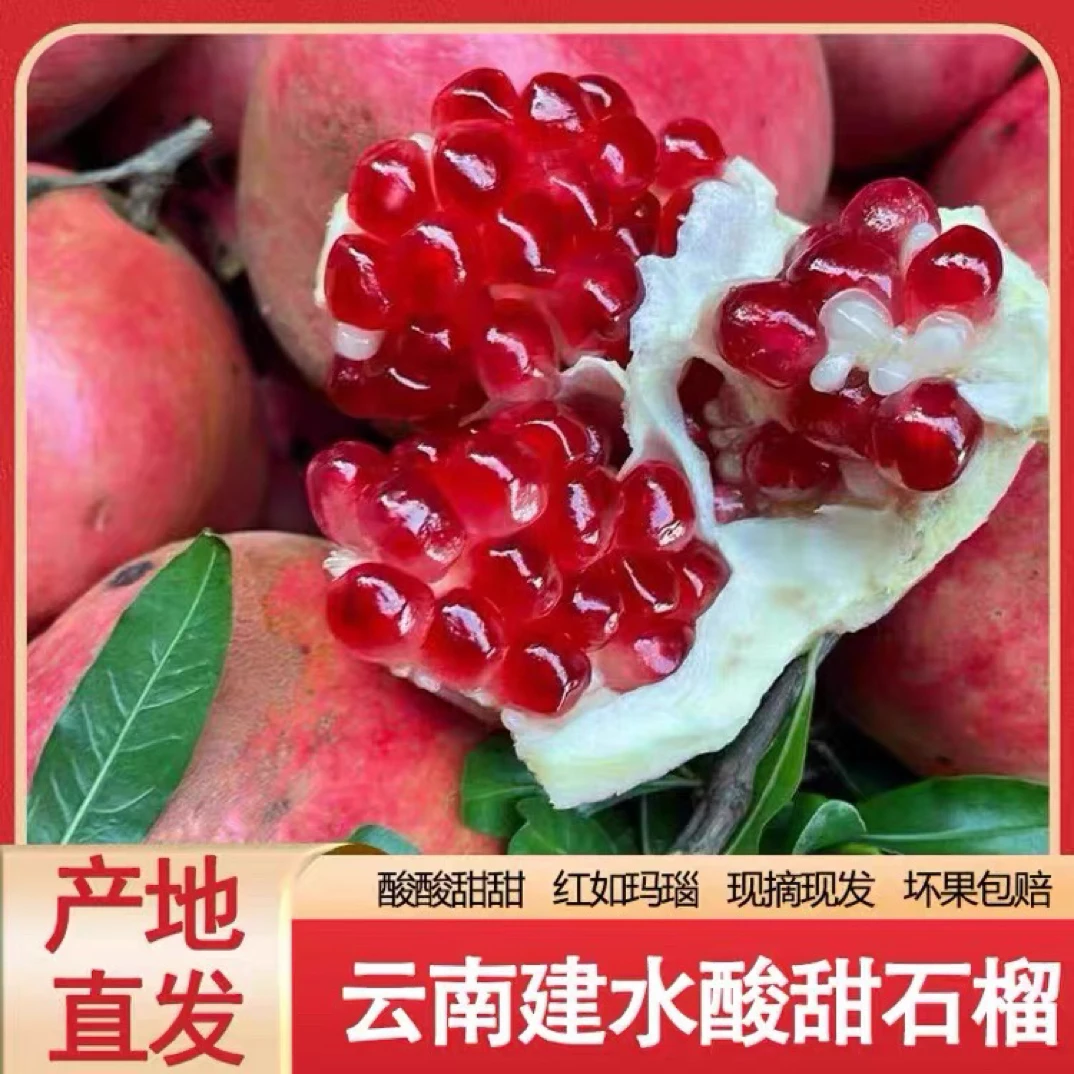 云南建水南庄老树酸甜石榴酸甜可口回味无穷