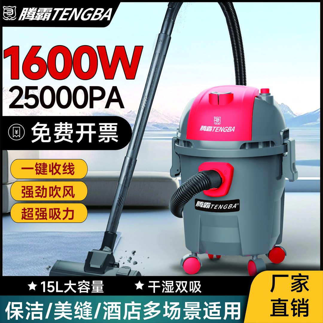 腾霸吸尘器家用地毯吸尘器大型强力大功率商用大吸力美缝开荒