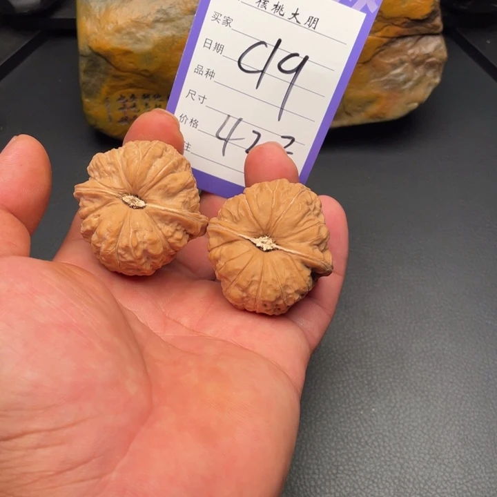 核桃南瓜42尺寸
