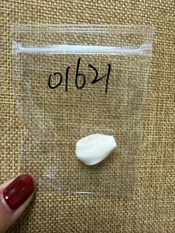 01621亚齐猛犸鲨鱼背三通配饰