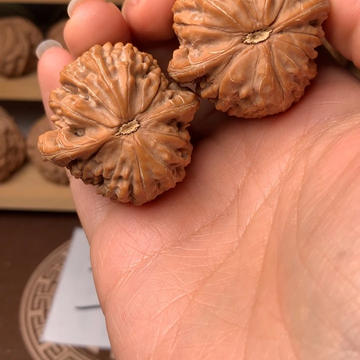 A***R金麒麟41周年大活动