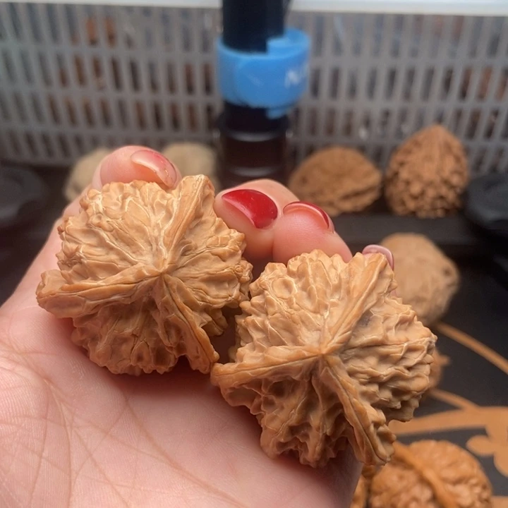 核桃石*豆40尺寸盘山核桃