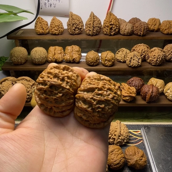 好****马老四全品45.41.38