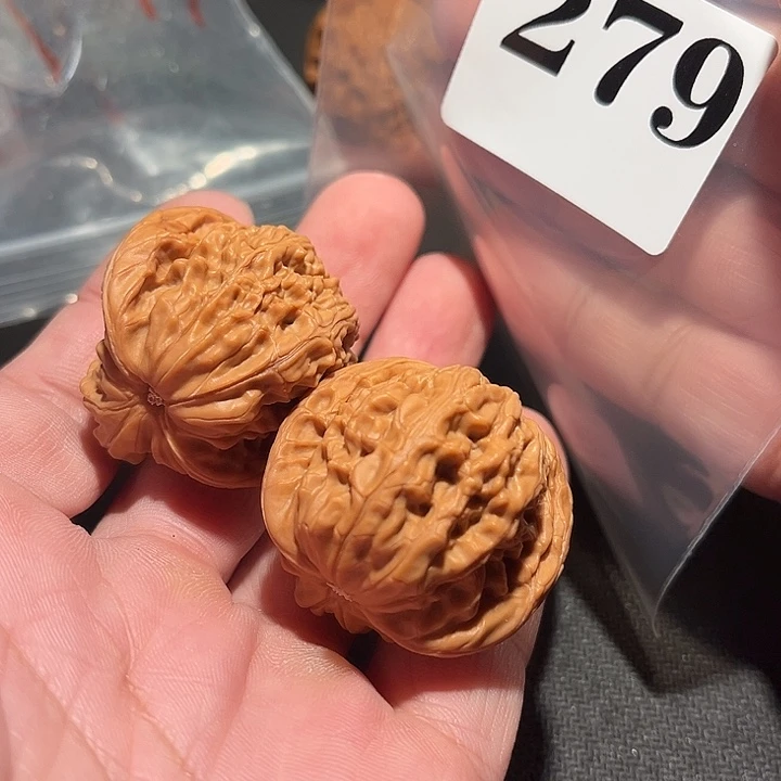 木质111111111111111