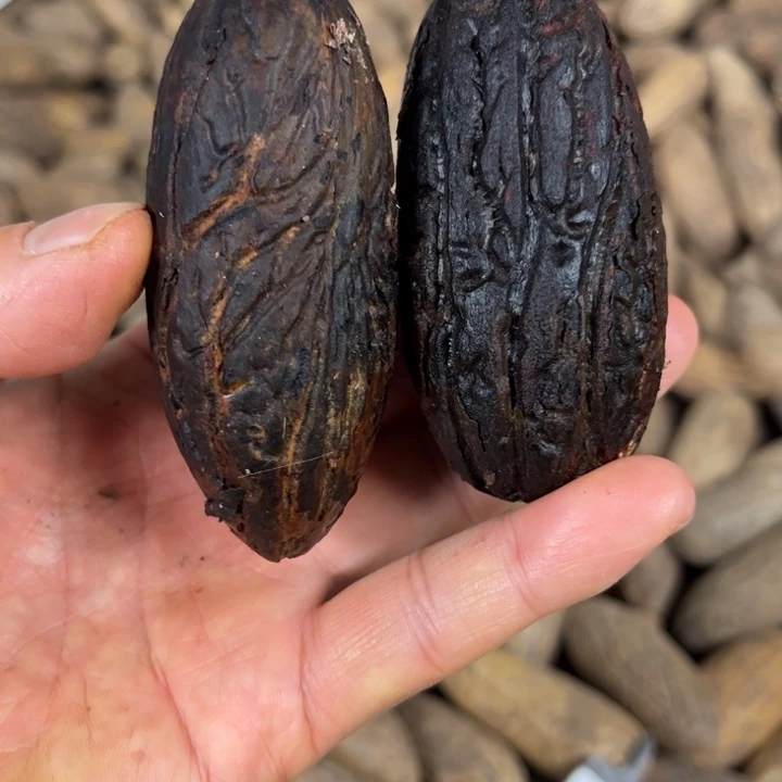 千眼菩提吊坠千菩提第 65 号。