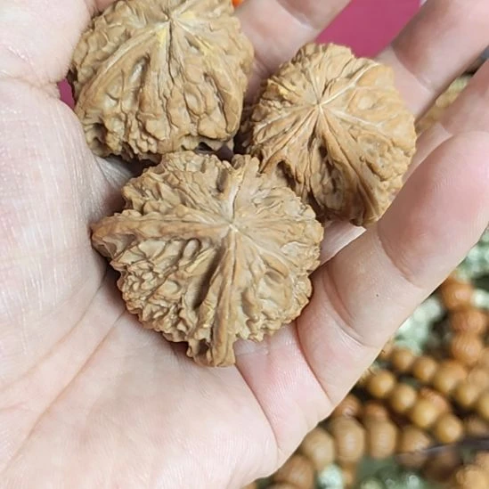 e***n把件文玩核桃39左右三个单子朋友福利