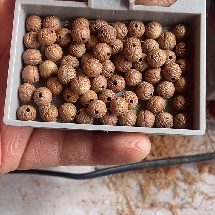 吊坠凤眼菩提野生酸枣核