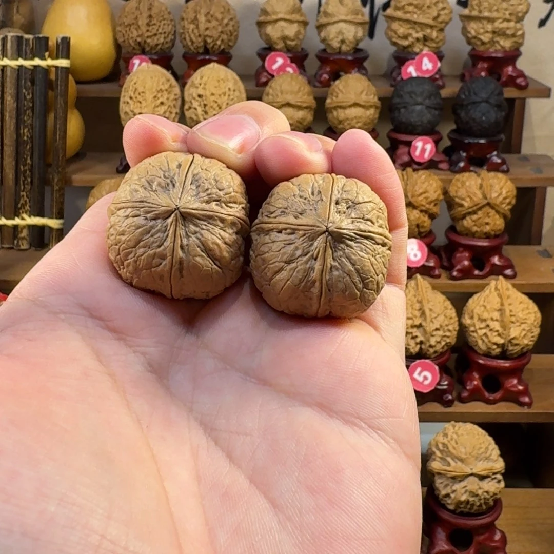 铁核桃把件金蟒炸四