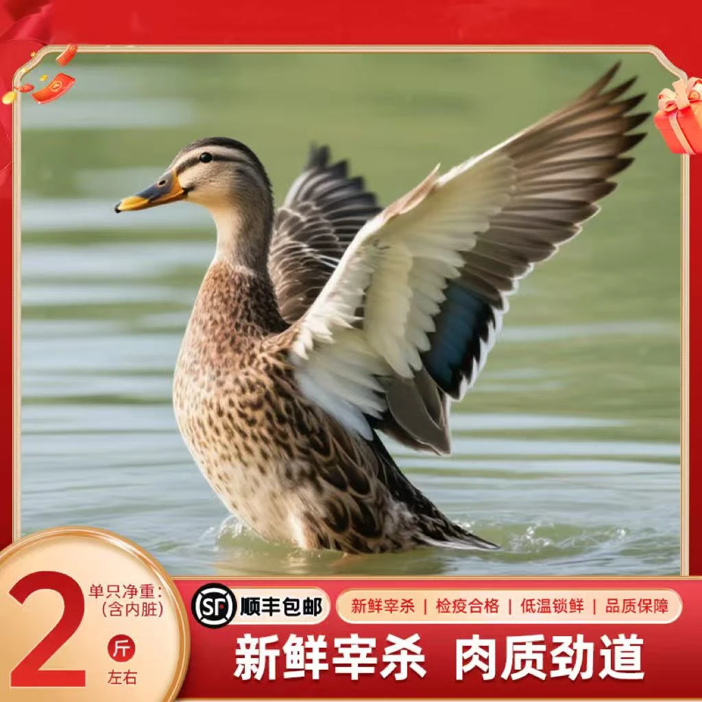 bozaijia洪湖老麻鸭 农家散养土鸭老鸭现杀整只鸦【拍一发三】