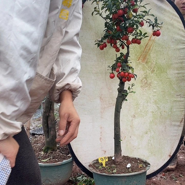 永***店完全开放金777888788