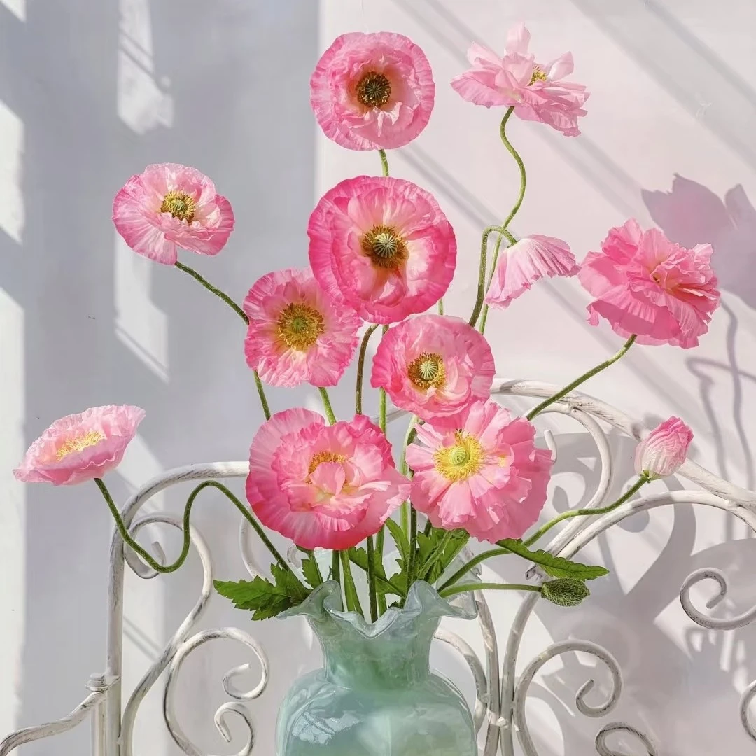 【虞美人】多头虞美人3扎水养鲜花家养客厅高级感（20%损耗不售后）