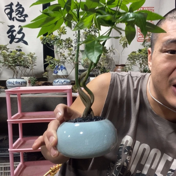 无花朵退款拉黑拉黑140
