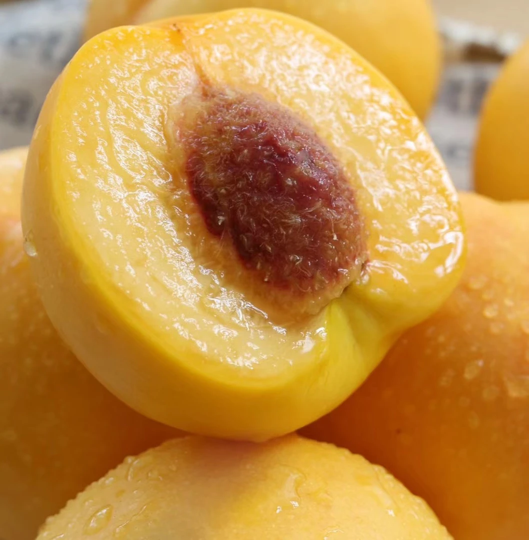 【篱笆优选】芒芒桃芒果油桃硬软两次桃香混着芒果香味软吃甜蜜多汁