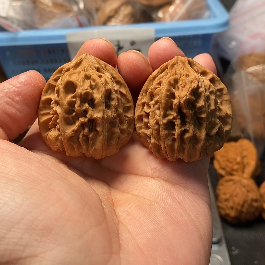1文玩核桃上古金蟾38-512