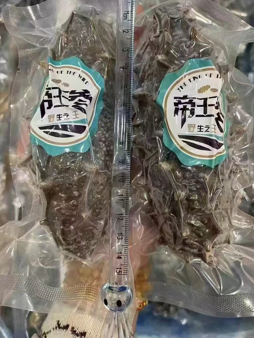 【帝王参/大海参】一斤4-6头巨大口感更脆 高档礼盒