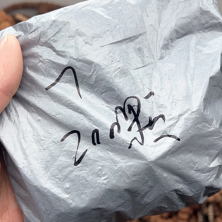 金刚菩提手串7*好评