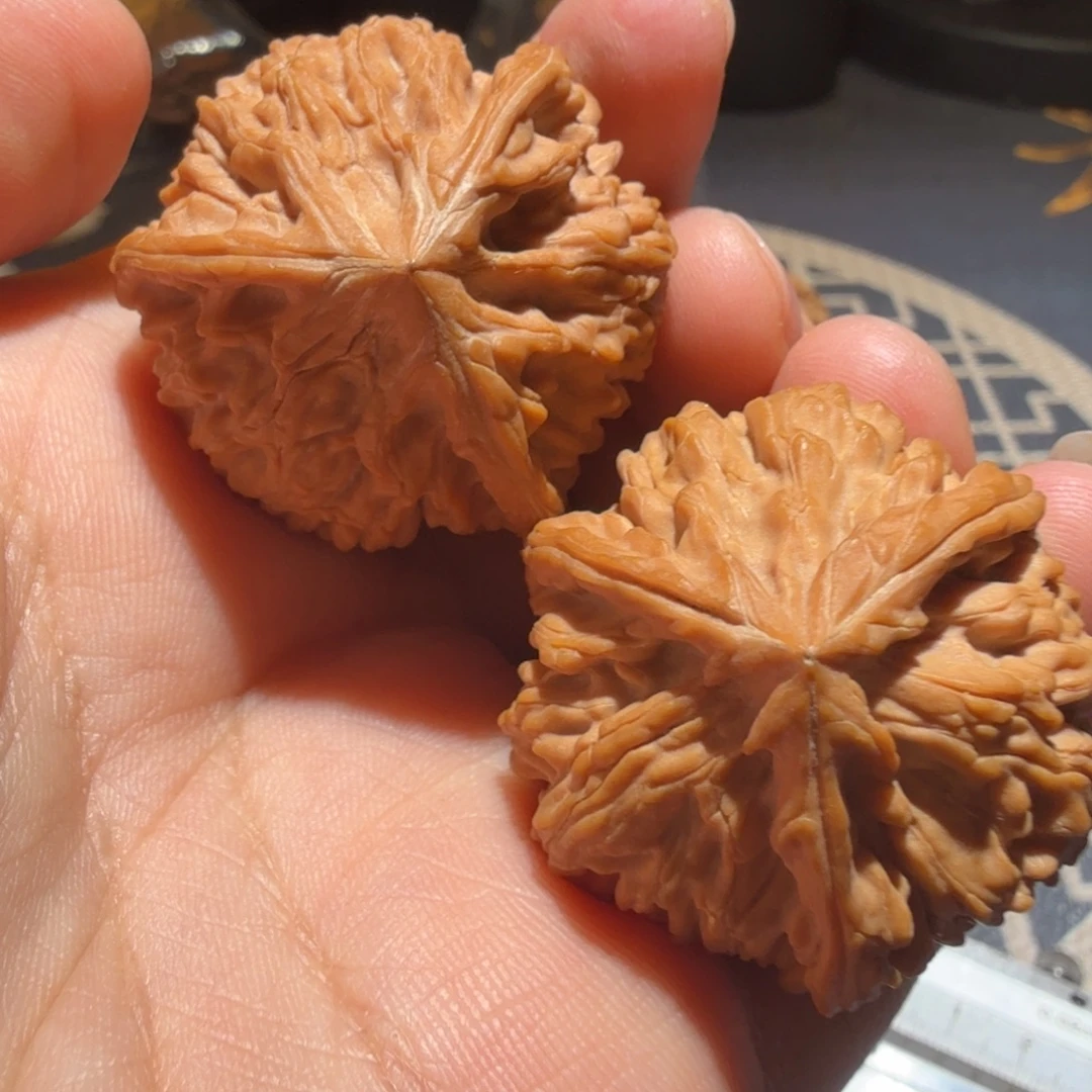 文玩核桃把件御龙正奔