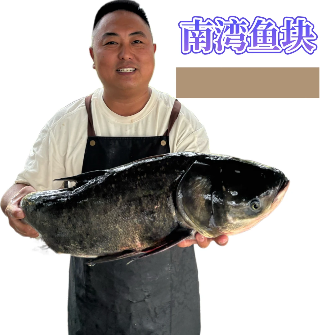 顺丰包邮/信阳土特产本地引用水源地大头鱼/活鱼现杀传统瓦罐腌制